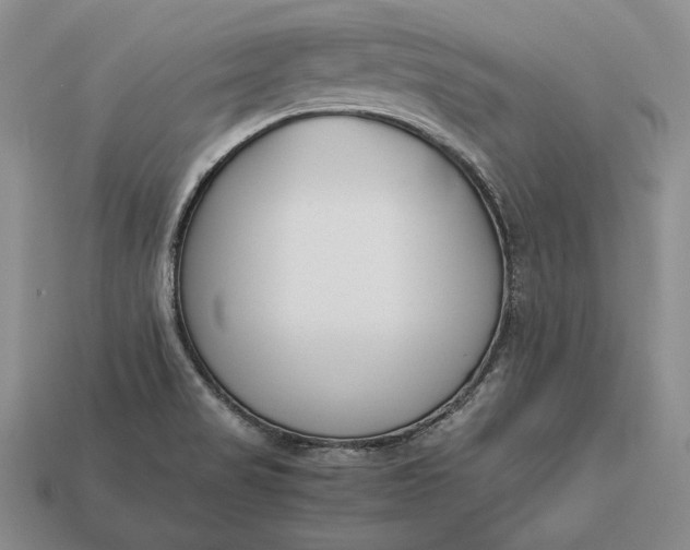 X0000113171517200909181821