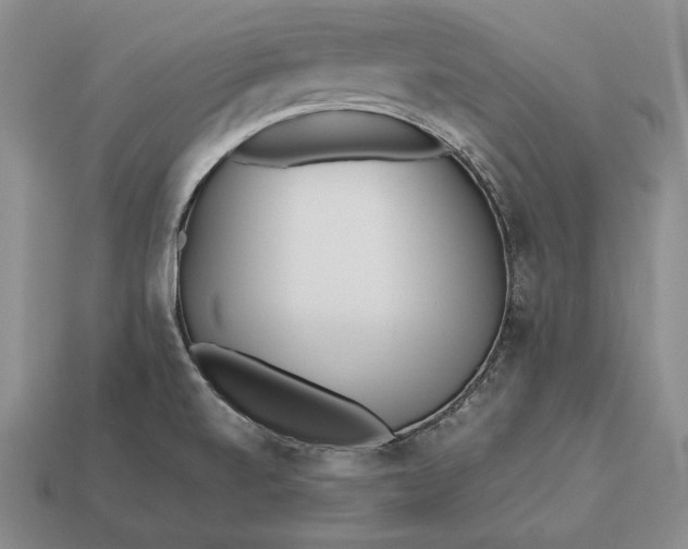 X0000113171520200909181821