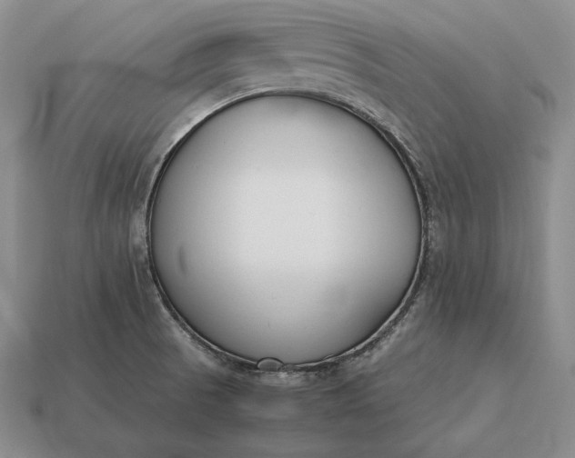 X0000113171521200909181821