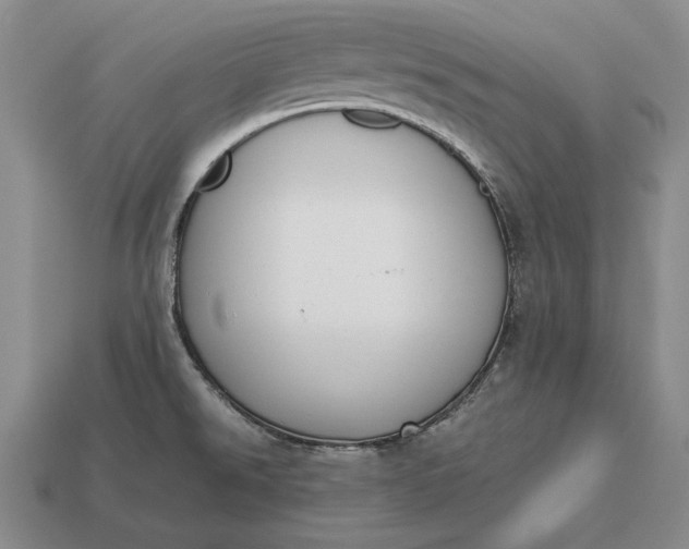 X0000113171526200909181821