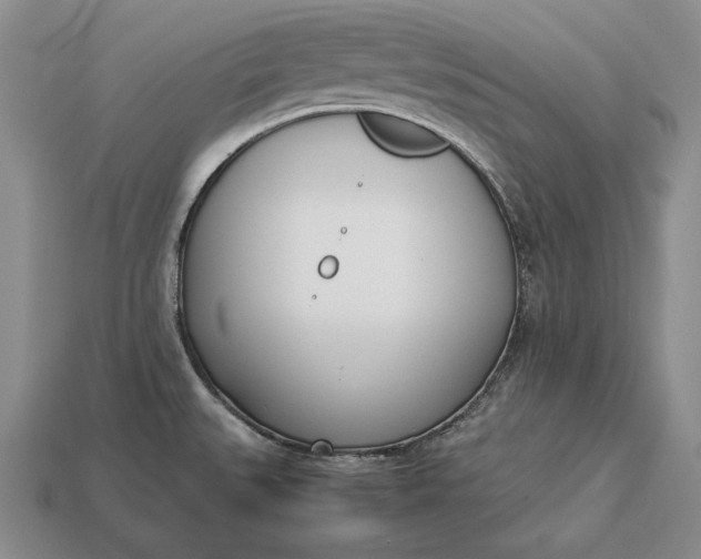 X0000113171527200909181821