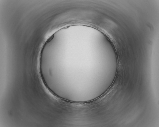 X0000113171528200909181821