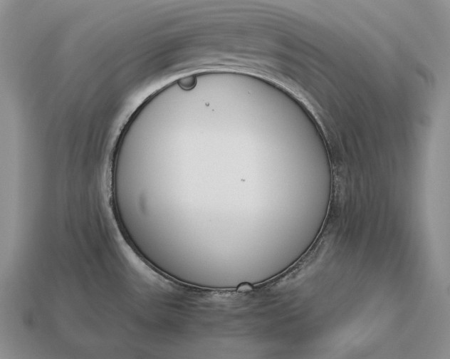 X0000113171531200909181821