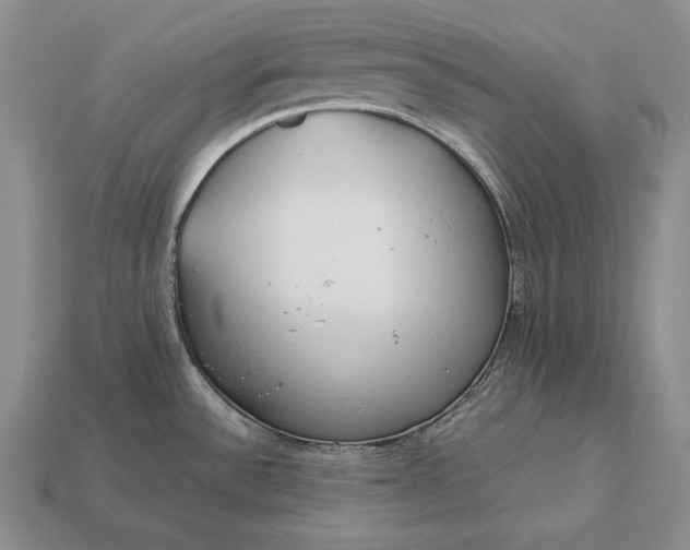 X0000113171532200909181821
