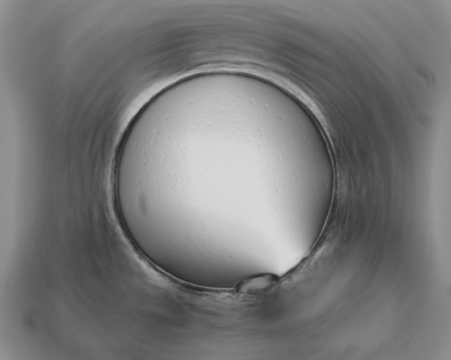 X0000113171533200909181821