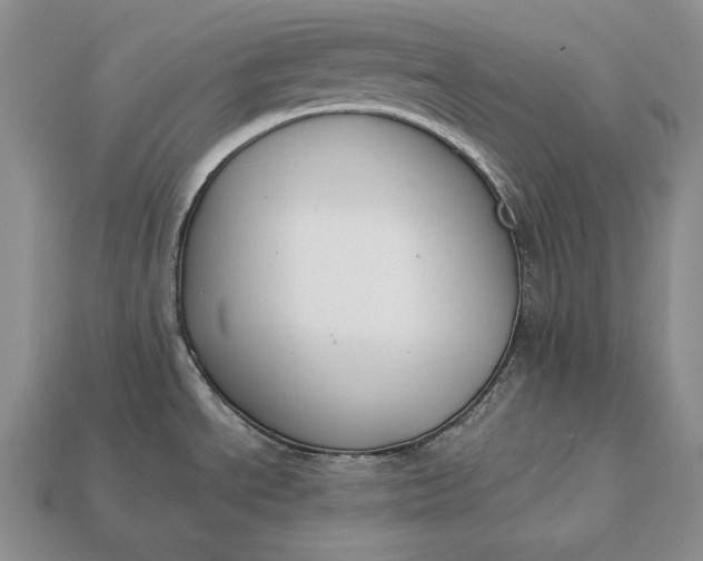 X0000113171534200909181821