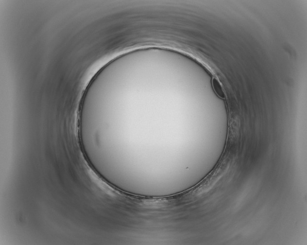 X0000113171535200909181821