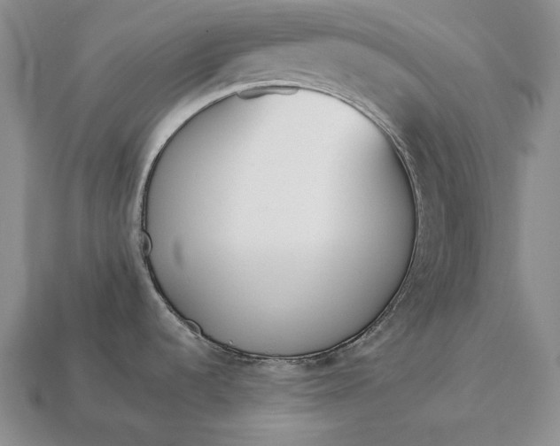 X0000113171536200909181821