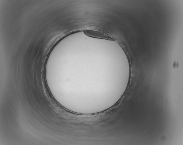 X0000113170001200909251428