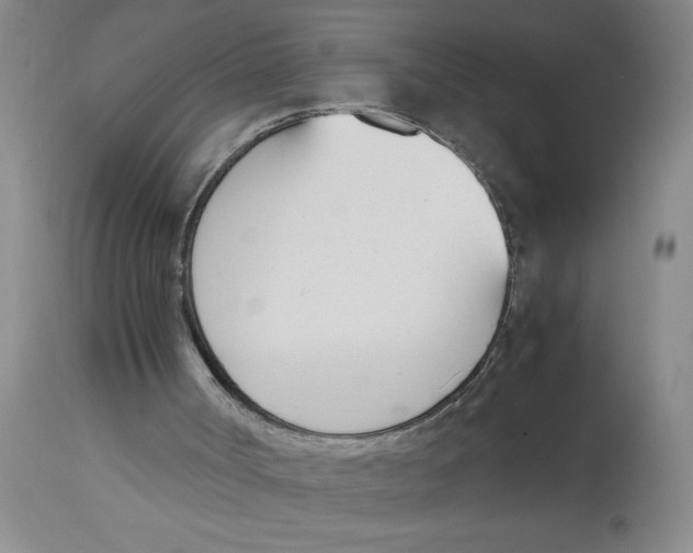 X0000113170002200909251428