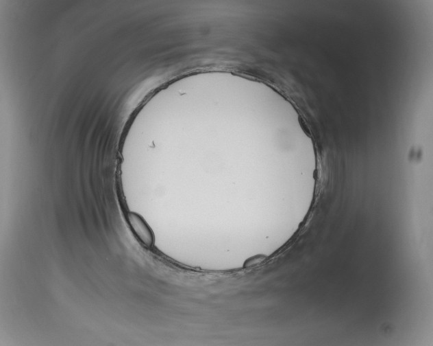 X0000113170003200909251428