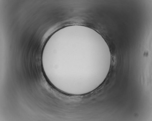 X0000113170004200909251428