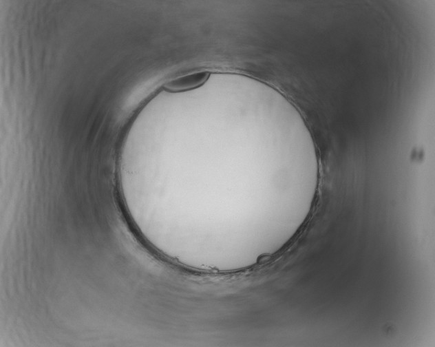 X0000113170005200909251428