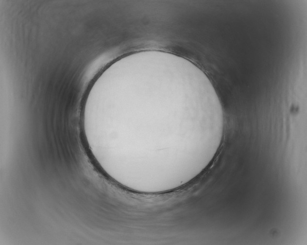 X0000113170006200909251428