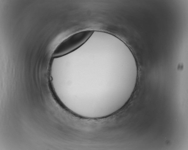 X0000113170007200909251428