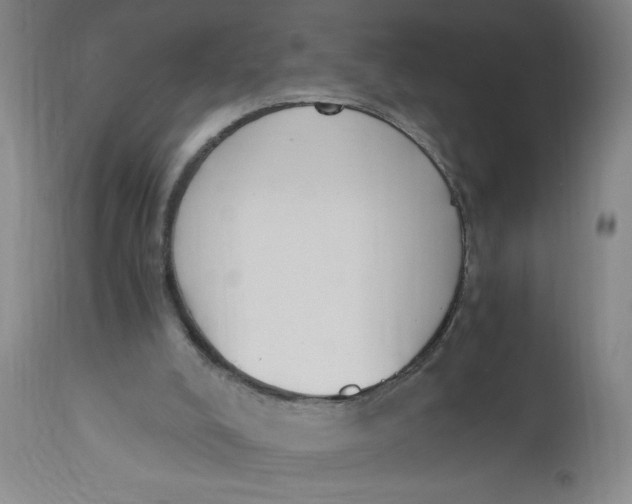 X0000113170008200909251428