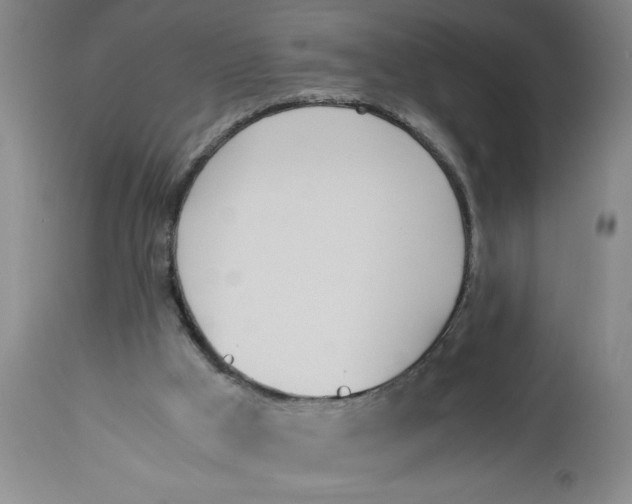 X0000113170009200909251428