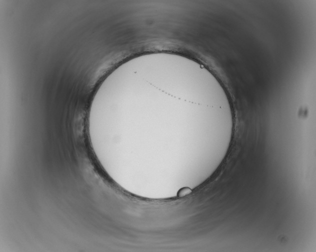 X0000113170010200909251428