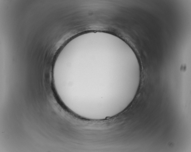 X0000113170011200909251428