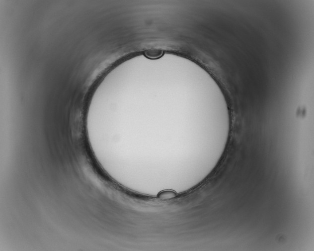 X0000113170012200909251428