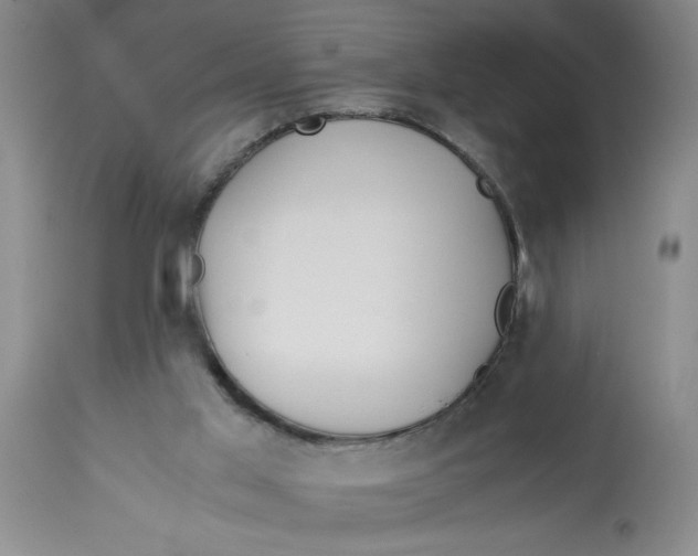 X0000113170013200909251428