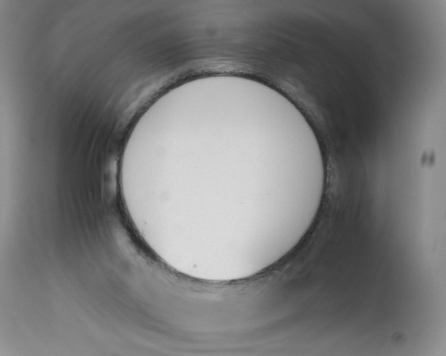 X0000113170014200909251428
