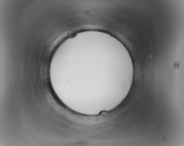 X0000113170015200909251428