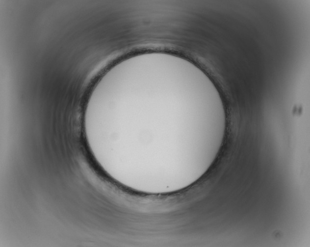 X0000113170016200909251428