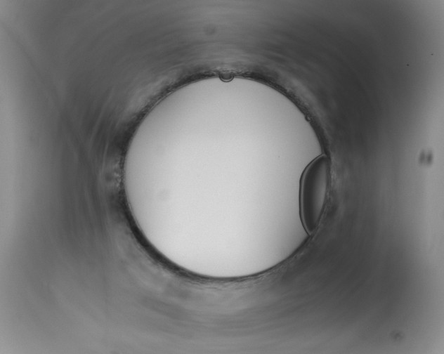X0000113170017200909251428
