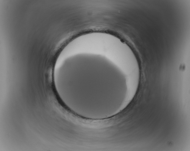 X0000113170019200909251428