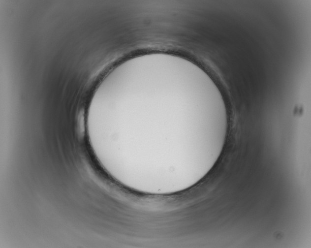 X0000113170020200909251428
