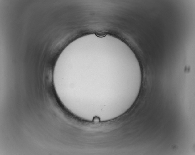 X0000113170021200909251428