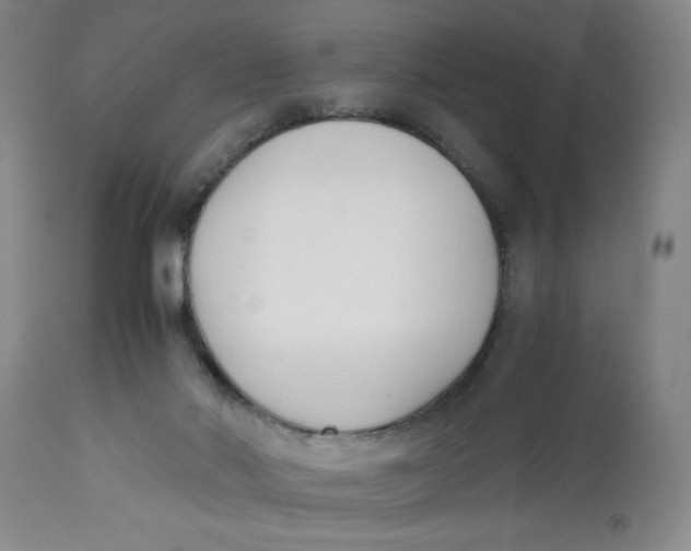 X0000113170022200909251428