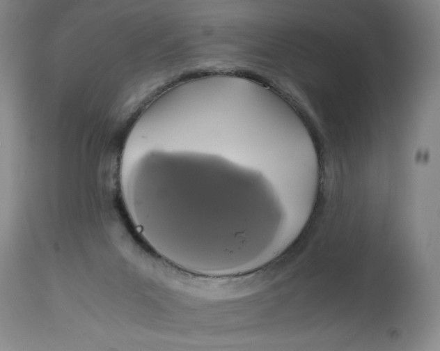 X0000113170023200909251428