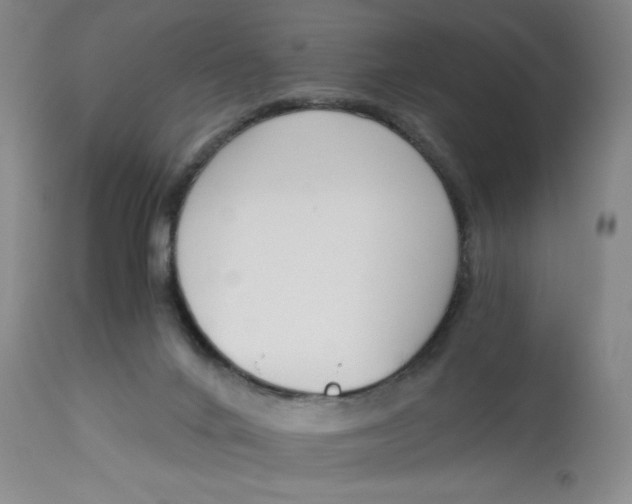X0000113170024200909251428