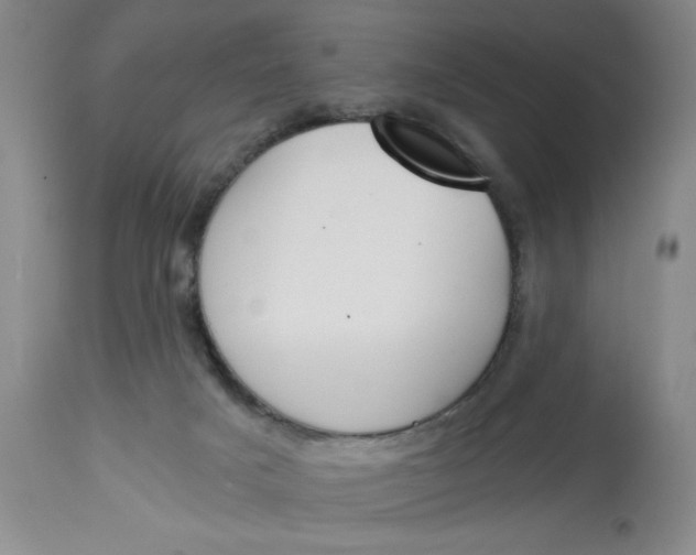 X0000113170025200909251428