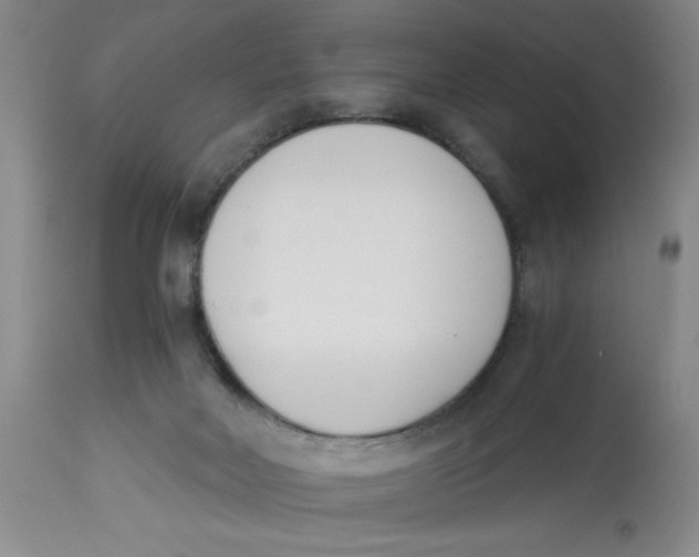 X0000113170026200909251428