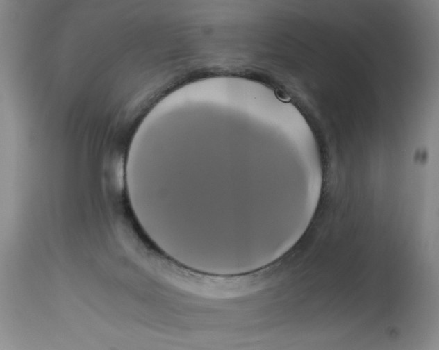 X0000113170027200909251428