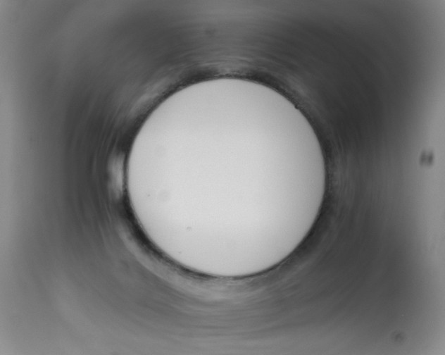 X0000113170028200909251428