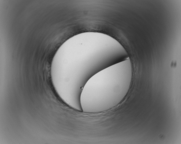 X0000113170029200909251428