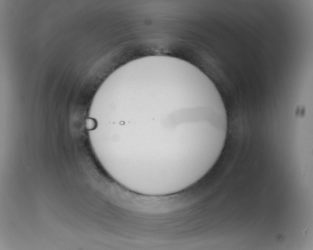 X0000113170030200909251428