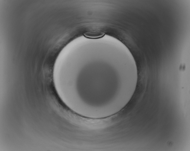 X0000113170031200909251428