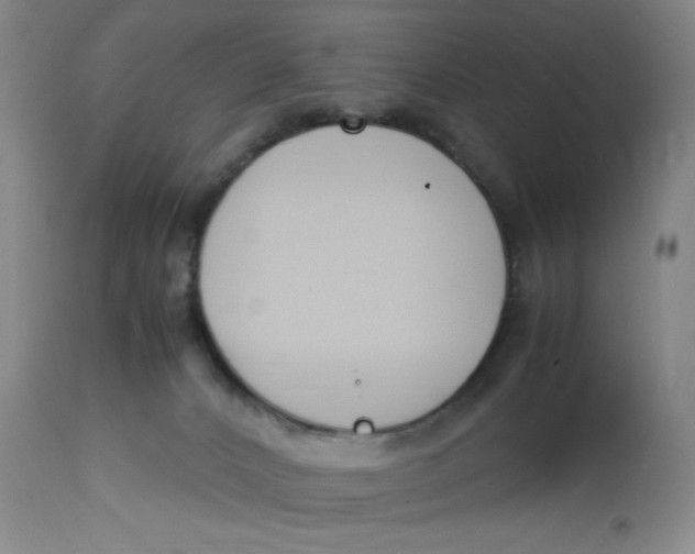 X0000113170032200909251428