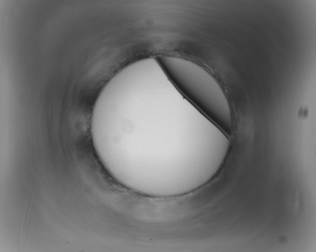 X0000113170033200909251428