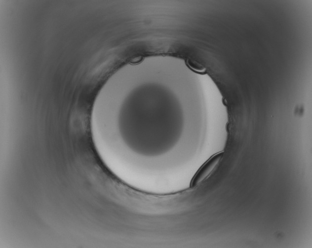 X0000113170035200909251428