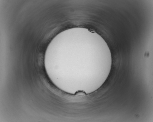 X0000113170036200909251428