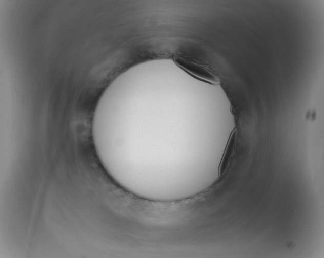X0000113170037200909251428