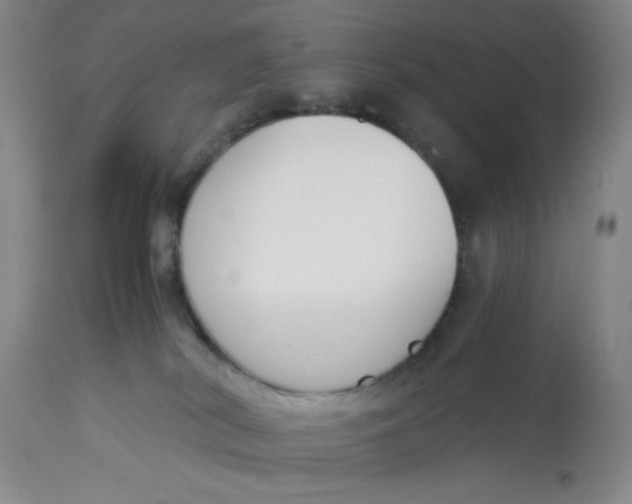 X0000113170038200909251428