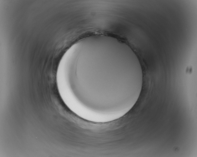 X0000113170039200909251428