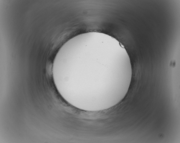 X0000113170041200909251428